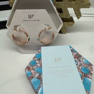 Elegant Rose Gold Hoop Earrings